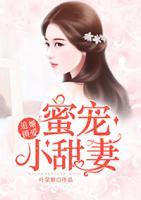 追婚锁爱:蜜宠小甜妻