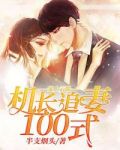 宠上云端:机长追妻100式