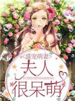 盛宠萌妻:夫人很呆萌
