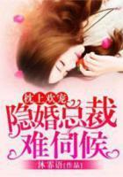 枕上欢宠:隐婚总裁难伺候