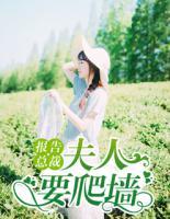 报告总裁,夫人要爬墙