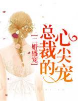 二婚盛宠:总裁的心尖宠