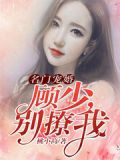 名门宠婚:顾少,别撩我