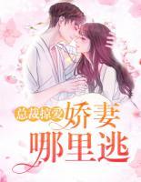总裁掠爱:娇妻哪里逃