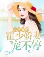 八零宠婚:霍少娇妻宠不停