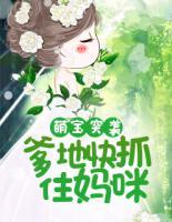 萌宝突袭:爹地快抓住妈咪