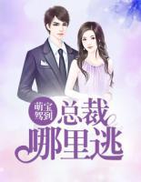 萌宝驾到:总裁哪里逃