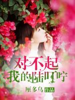 对不起,我的陆叮咛
