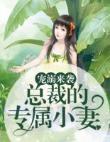 宠溺来袭:总裁的专属小妻
