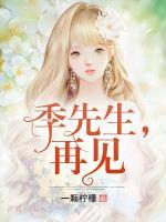 季先生,再见