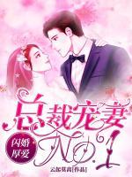 闪婚厚爱:总裁宠妻NO.1
