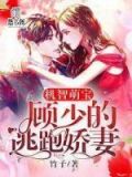 机智萌宝,顾少的逃跑娇妻