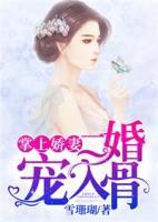 掌上娇妻,二婚宠入骨