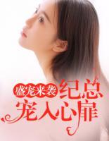 盛宠来袭:纪总,宠入心扉
