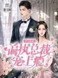 替身新娘,偏执总裁宠上瘾