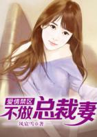 爱情禁区:不做总裁妻