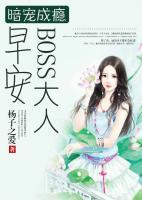 暗宠成瘾:早安,BOSS大人