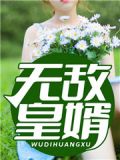 无敌皇婿