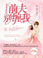 婚婚欲睡:前夫,别缠我