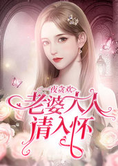 一夜贪欢:老婆大人请入怀