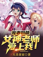 宠妻奶爸:女神老师爱上我