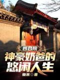 四合院:神豪奶爸的悠闲人生