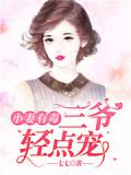 小妻有毒:三爷,轻点宠!