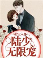 萌宝入怀:陆少无限宠