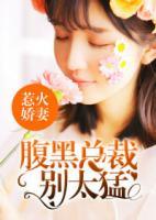 惹火娇妻:腹黑总裁别太猛