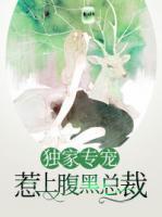 独家专宠:惹上腹黑总裁
