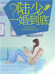 陆少,一婚到底