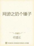 网游之奶个锤子