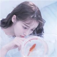 沈总追妻,娶一送一