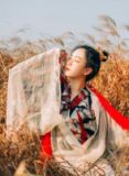 将军种田:农家医女捡夫君