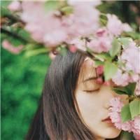 婚不设防:总裁,我们离婚