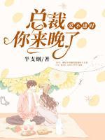 爱不逢时:总裁,你来晚了
