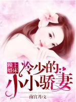 赖上婚床:冷少的小小骄妻