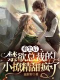 重生后,禁欲总裁的小撩精甜疯了