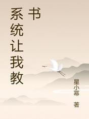 系统让我教书
