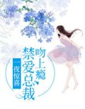 一夜惊喜,禁爱总裁吻上瘾