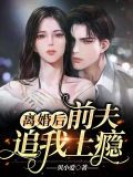 离婚后前夫追我上瘾
