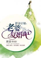 猎妻计划:老婆,复婚吧!