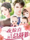 一夜惊喜:三宝智斗总裁爹