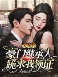 五年后,豪门继承人跪求我领证