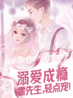 溺爱成瘾:霍先生,轻点宠!