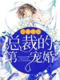 丑妻绝色:总裁的第一宠婚