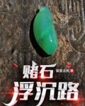 赌石浮沉路