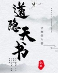 道隐天书