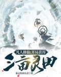 凡人修仙:开局获得三亩灵田