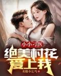 小小刁医,绝美村花爱上我